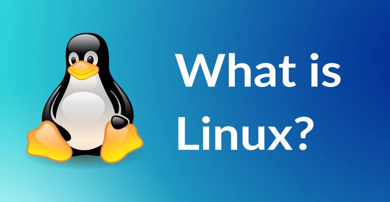 Linux посмотреть history другого пользователя