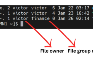Linux file ownership