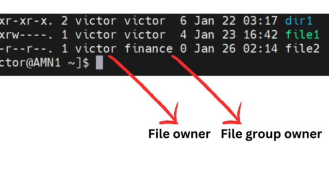 Linux file ownership