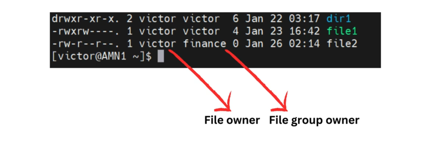 How To Change Ownership Of A File In Linux: A Complete Guide