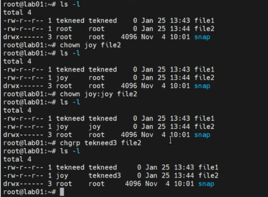 an image showing how to change ownership of a file in linux, using all the commands