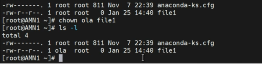 how to change ownership of a file - chown