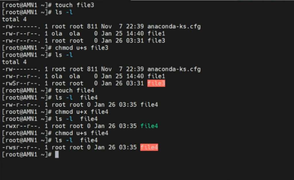 understanding the set user id (SUID) and execute permission in a file