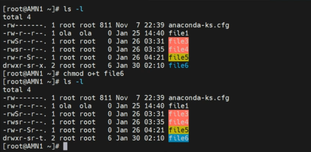 understanding the sticky bit command.