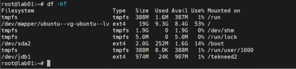 mounting a partition on a directory