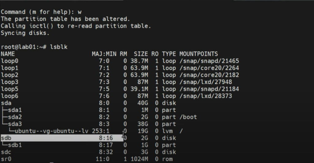 confirming configured partition - lsblk