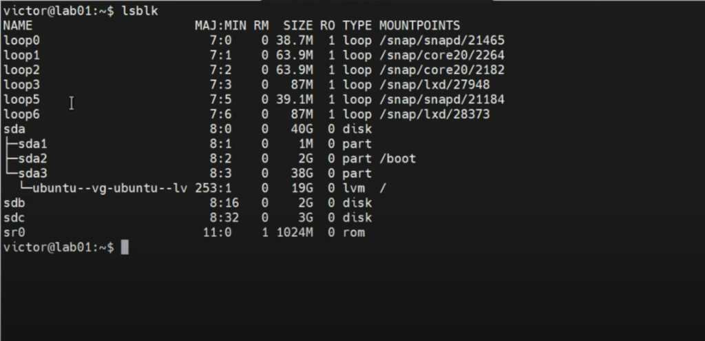 how to manage storage in Linux - lsblk
